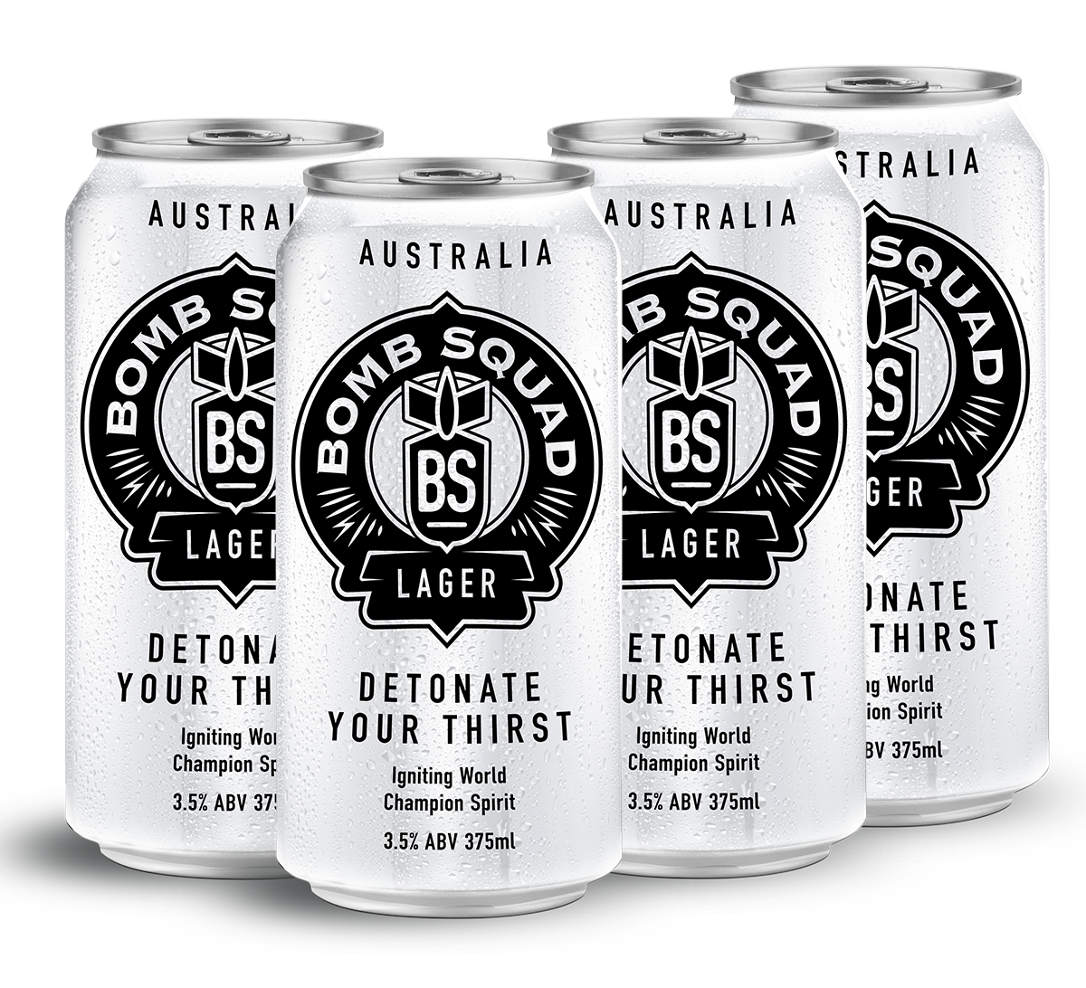 LAGER Beer - 16 Pack